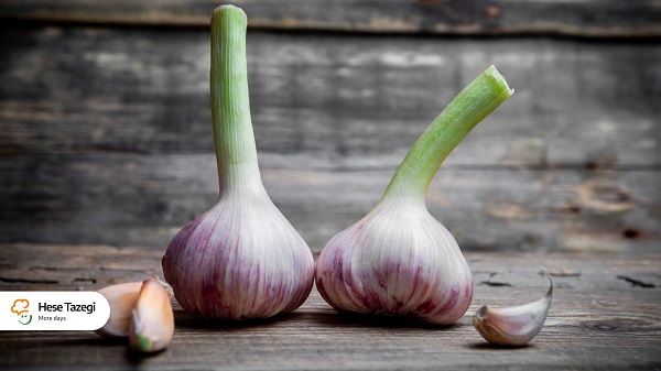 فواید_سیر_برای_بدن_حس_تازگی_1